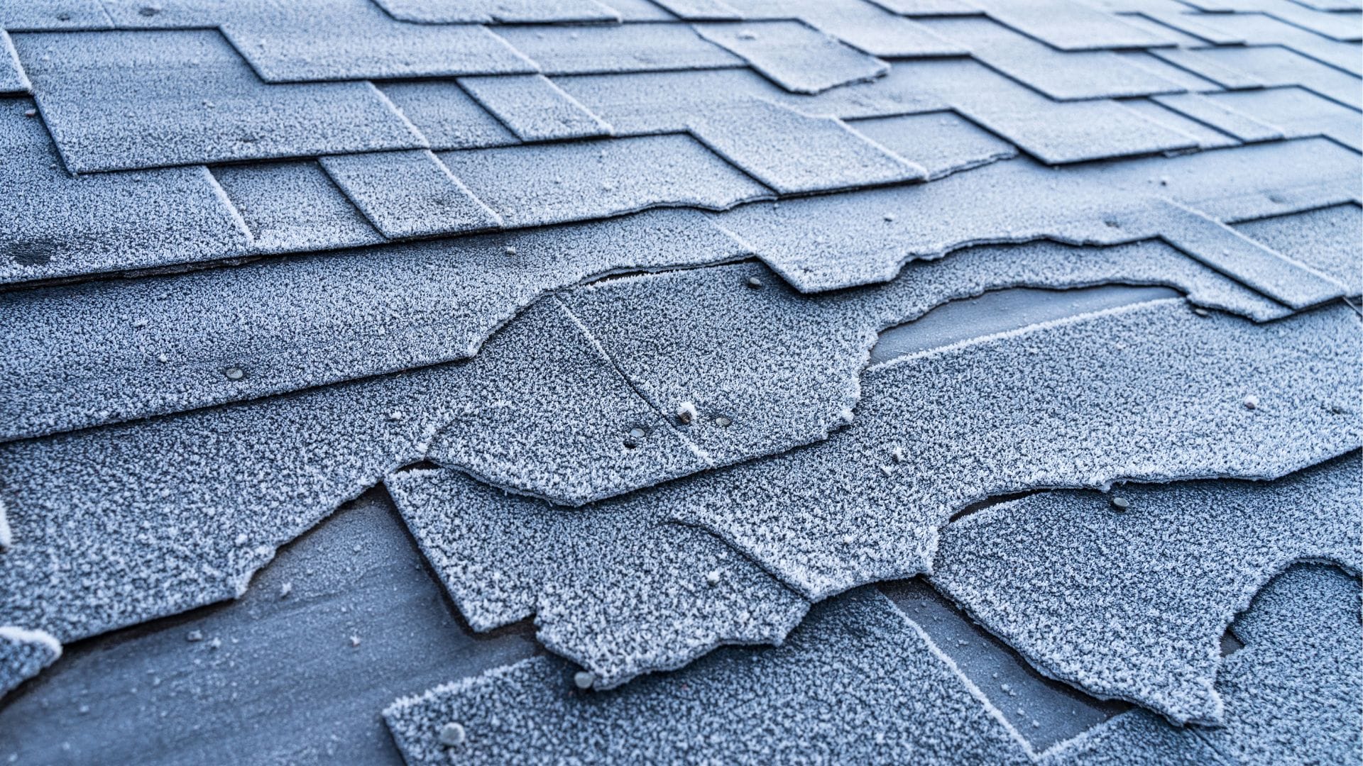 4 SNEAKY SIGNS OF ROOF DAMAGE