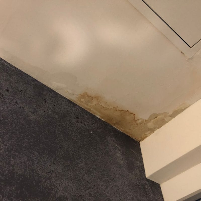 IDENTIFYING LEAKS AND WATER DAMAGE