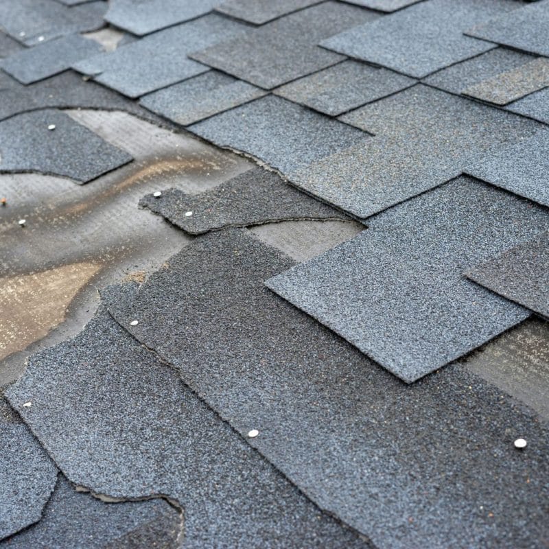 Roof Repair DAMAGED SHINGLES