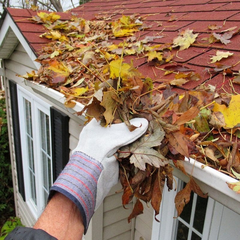 CLOGGED GUTTERS